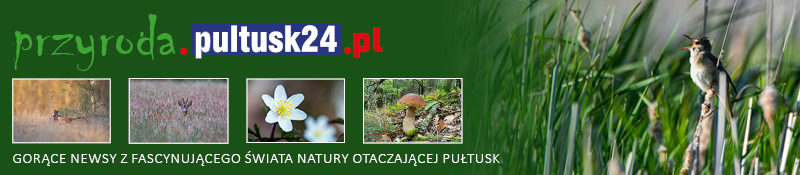 przyroda.pultusk24.pl